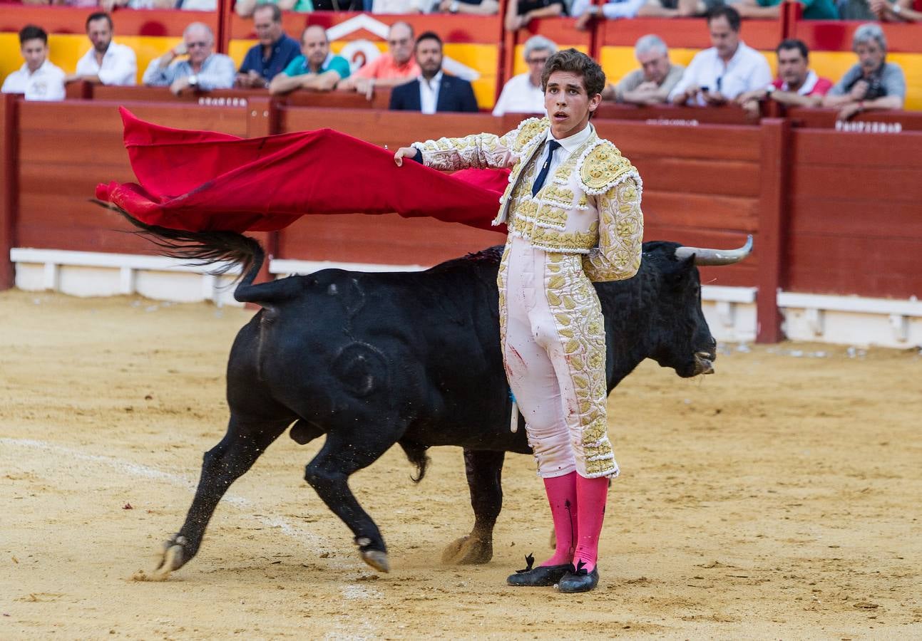 Novillada en la Plaza de Toros de Alicante