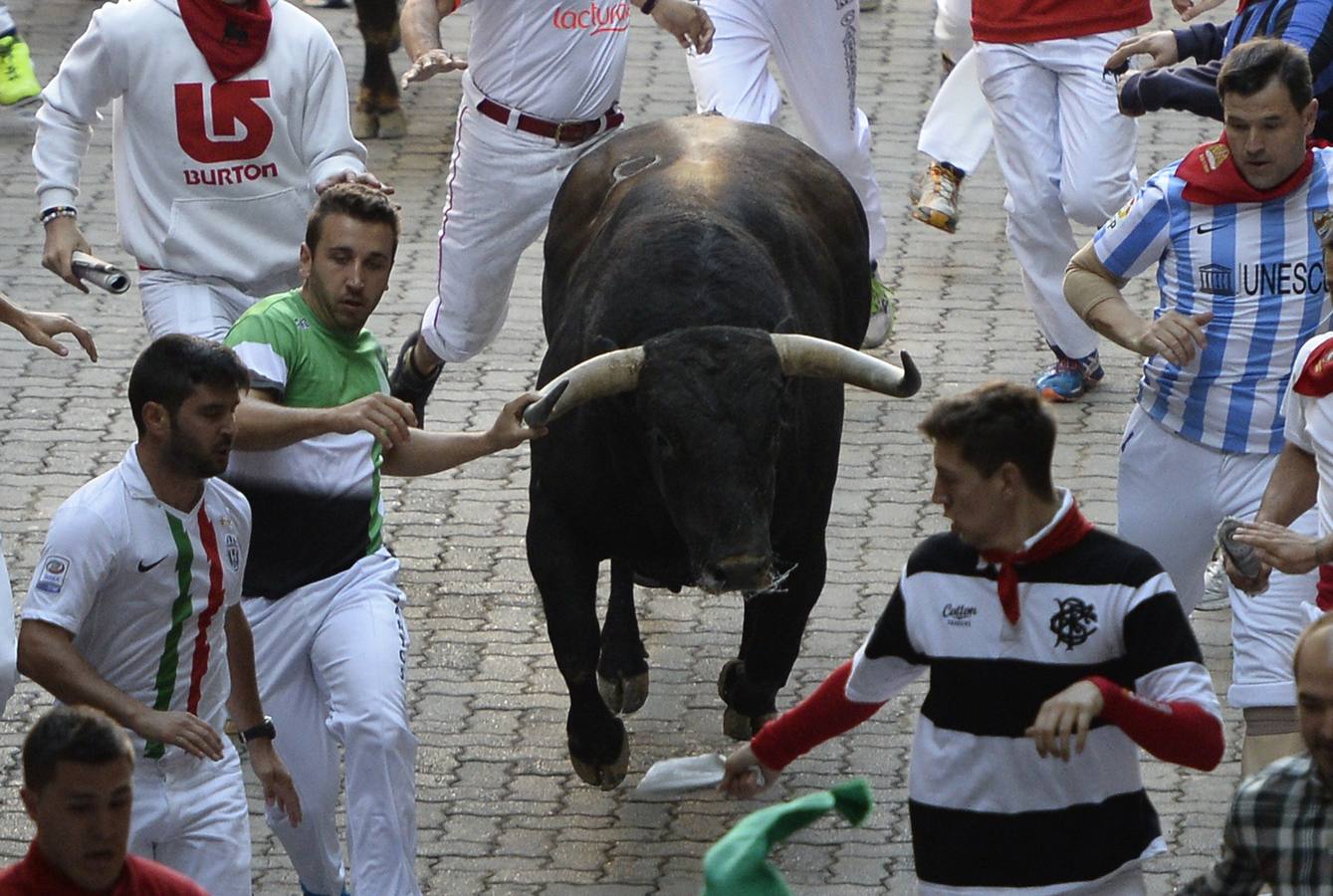 Los &#039;Fuente Ymbro&#039; hacen gala de su nobleza