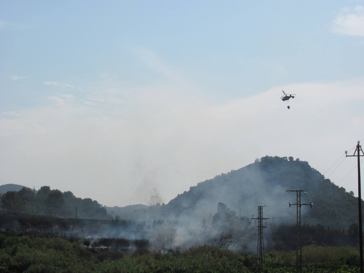 Incendio en Manuel (Ribera Alta)