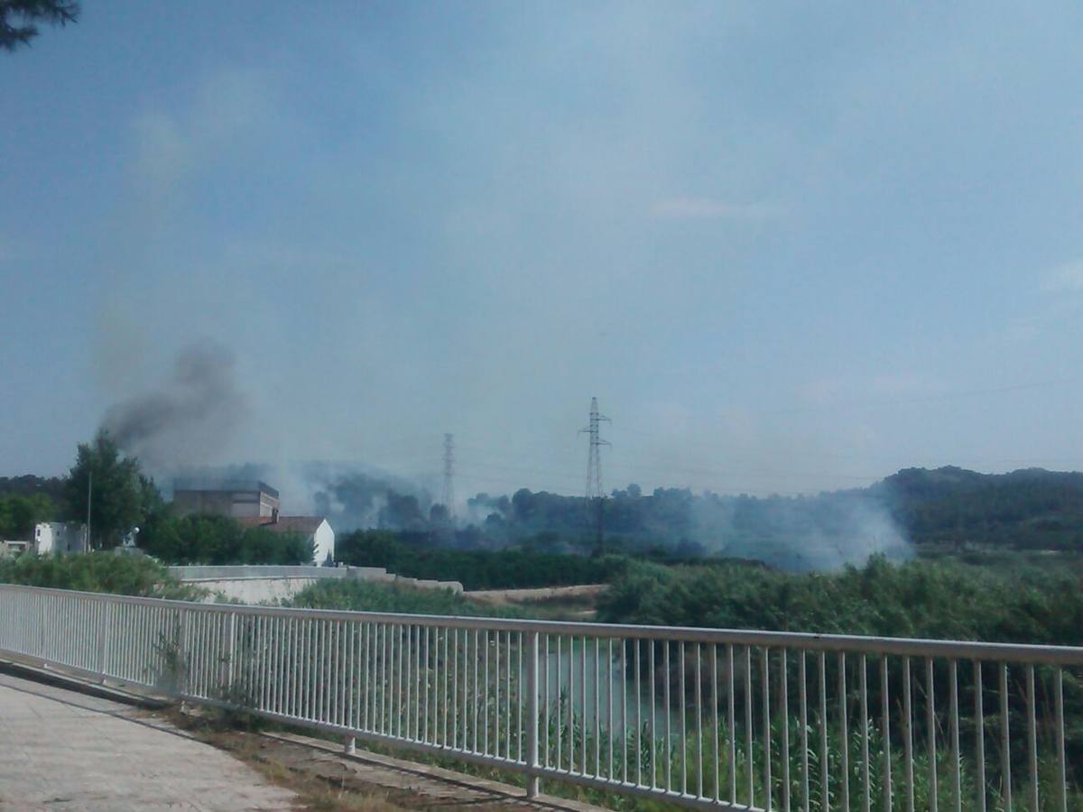 Incendio en Manuel (Ribera Alta)