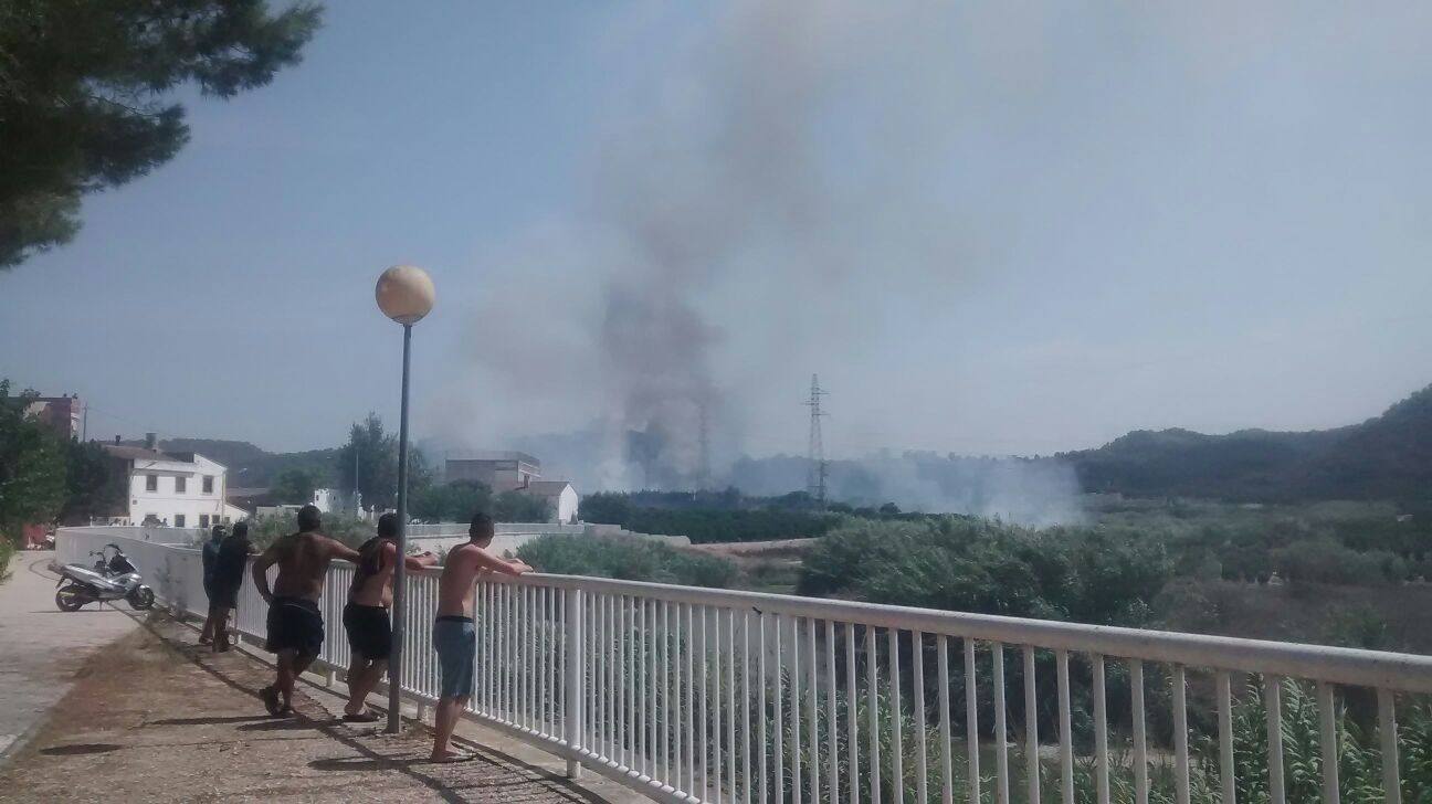 Incendio en Manuel (Ribera Alta)