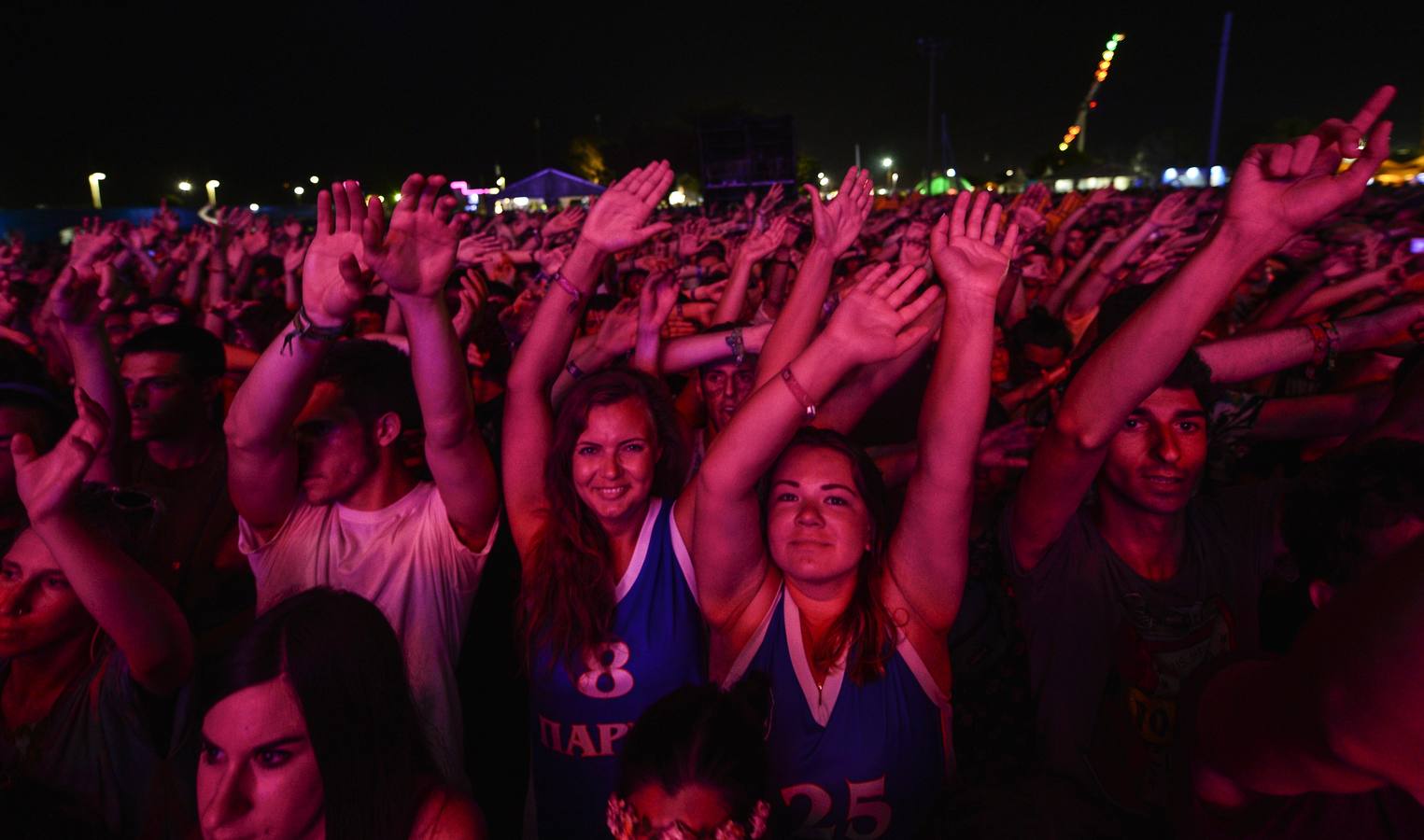 Las mejores imágenes del FIB