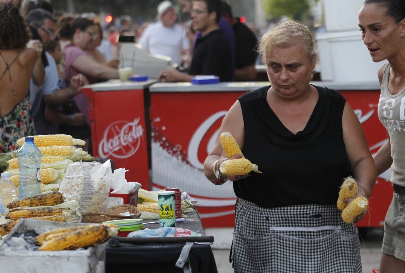 Batalla de Flores de Valencia 2015