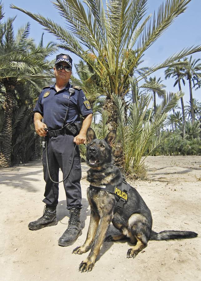 Unidad canina de la Policía Local de Elche