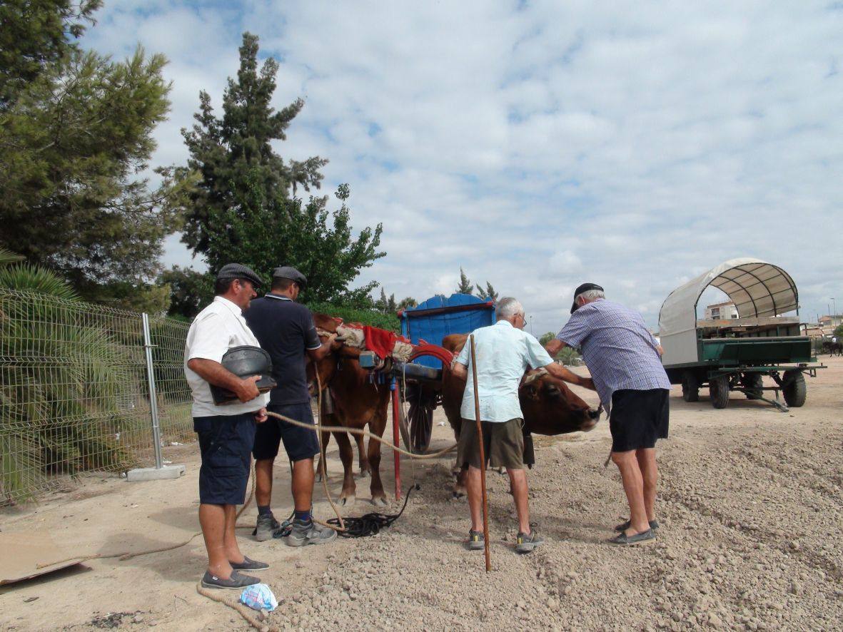 Carrera de burros y asnos de Dolores