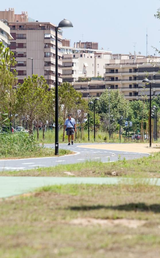 Nuevo parque en la Avenida de Elche con el césped seco y poco cuidado