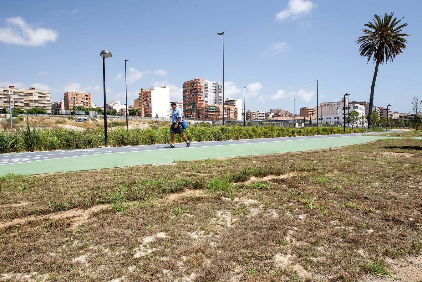 Nuevo parque en la Avenida de Elche con el césped seco y poco cuidado