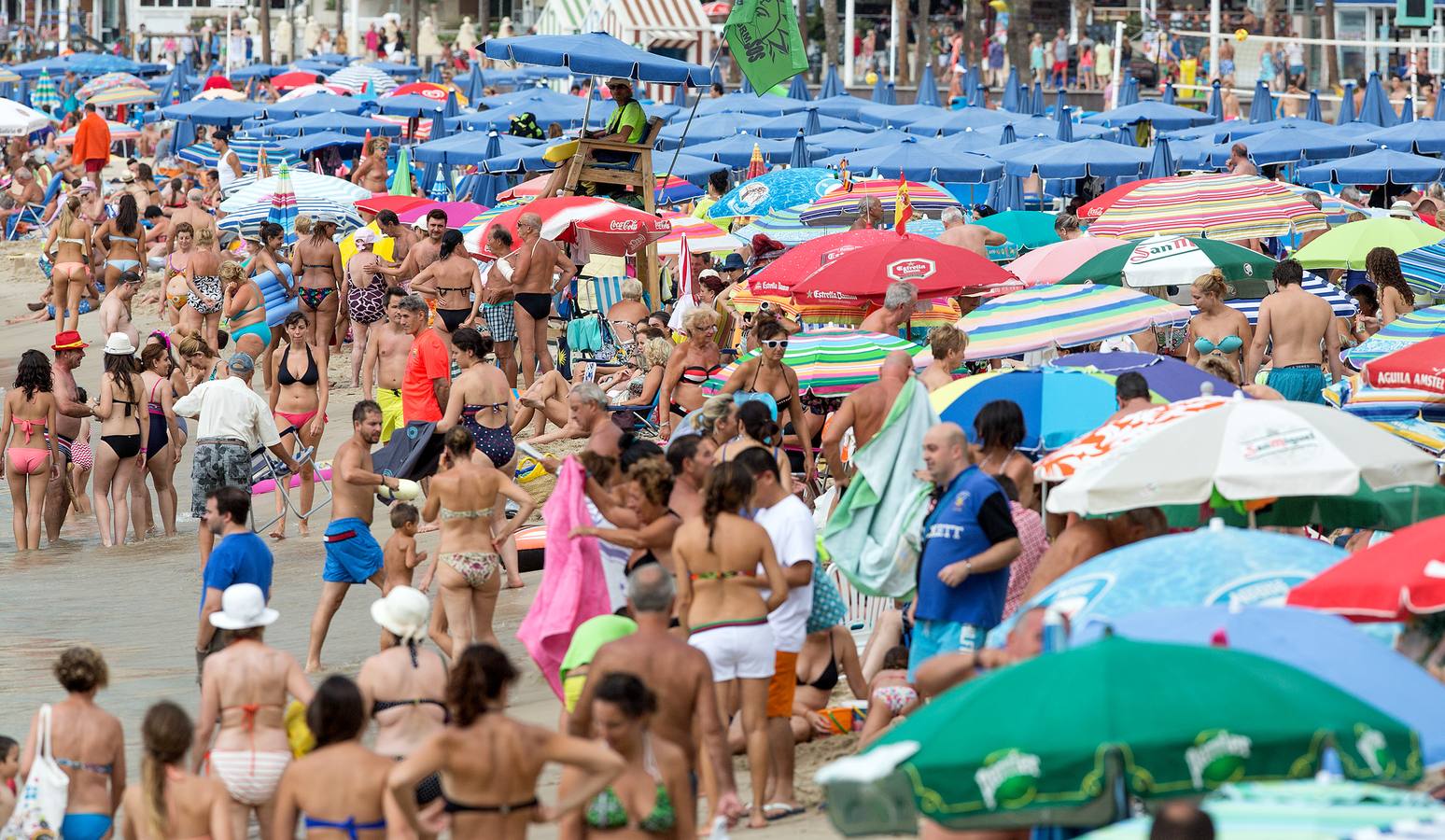 Fiestas de San Roque