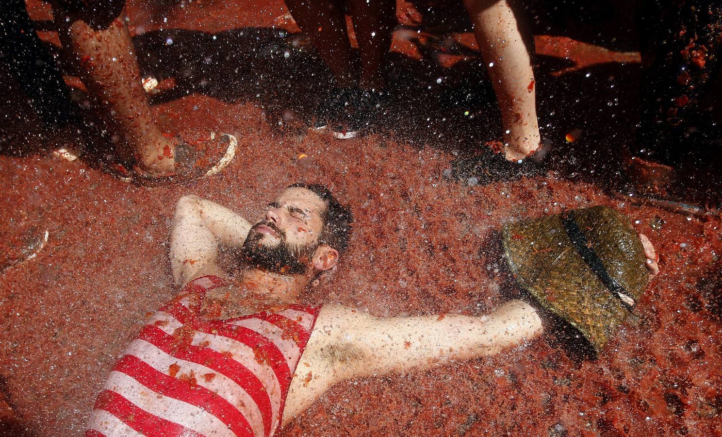 Tomatina 2015