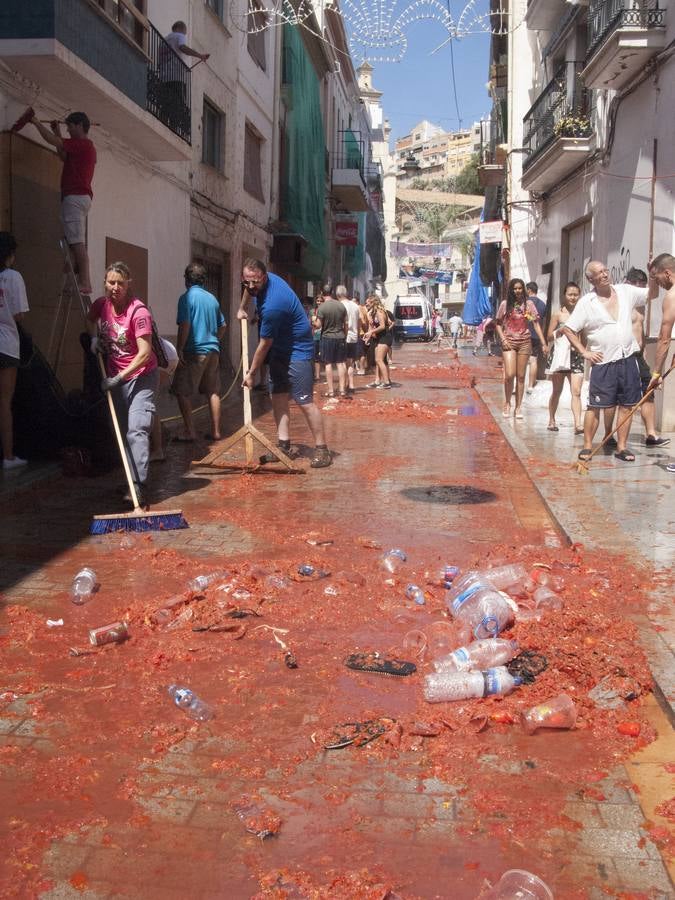 Tomatina 2015 (III)