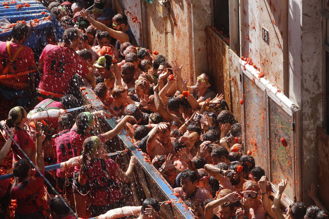 Tomatina 2015 (III)