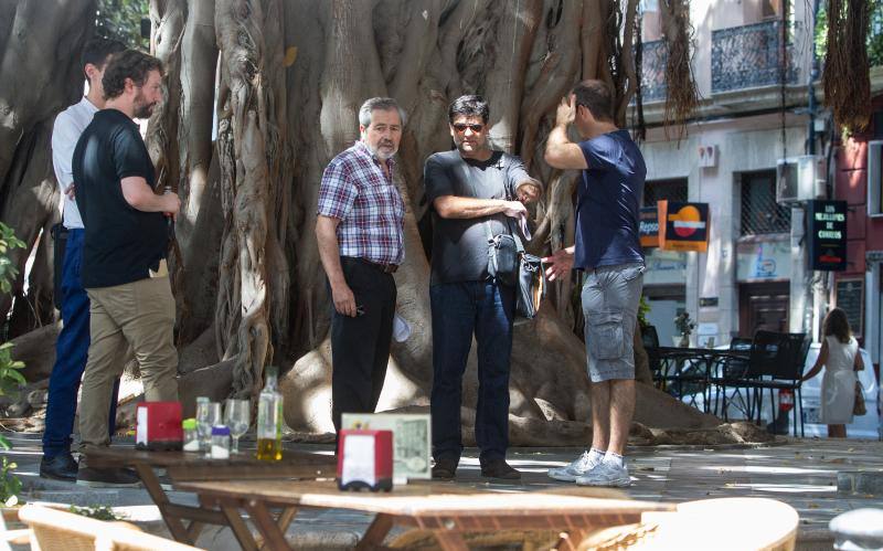 Miguel Ángel Pavón supervisa los veladores de la plaza Gabriel Miró