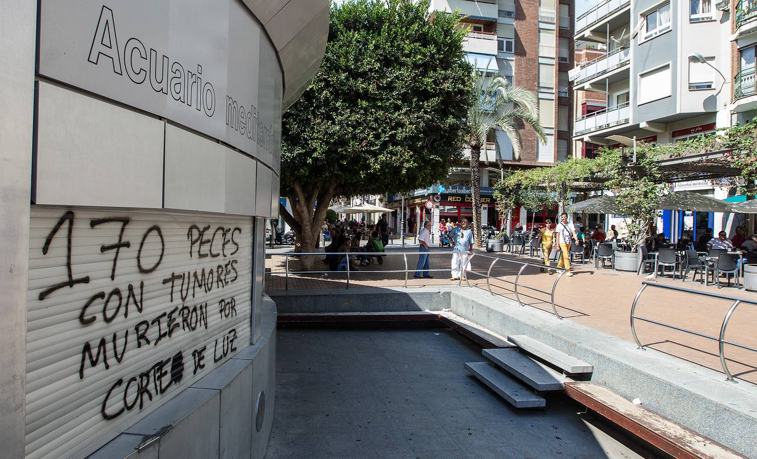 Cifran en 1.500 euros la limpieza de las pintadas en el acuario de la plaza Nueva