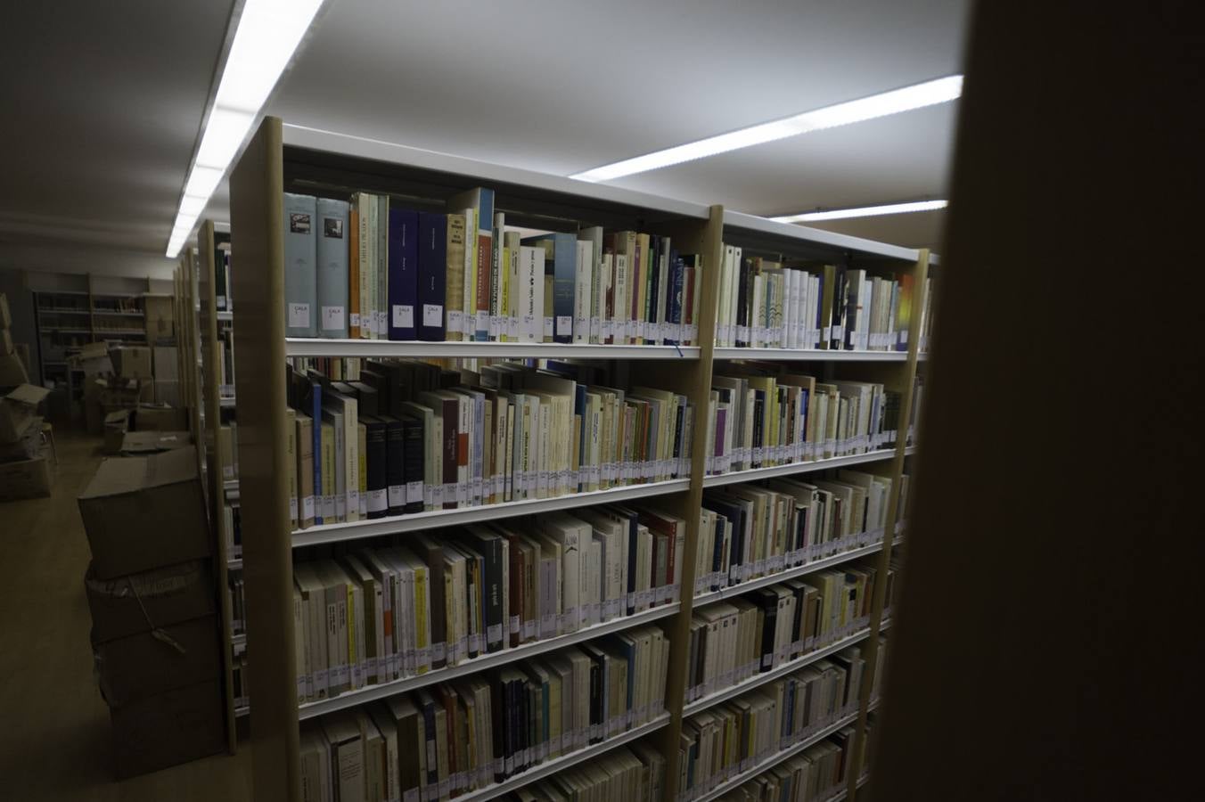 El director de la FMH cede cinco mil libros a la la biblioteca Fernando de Loaces