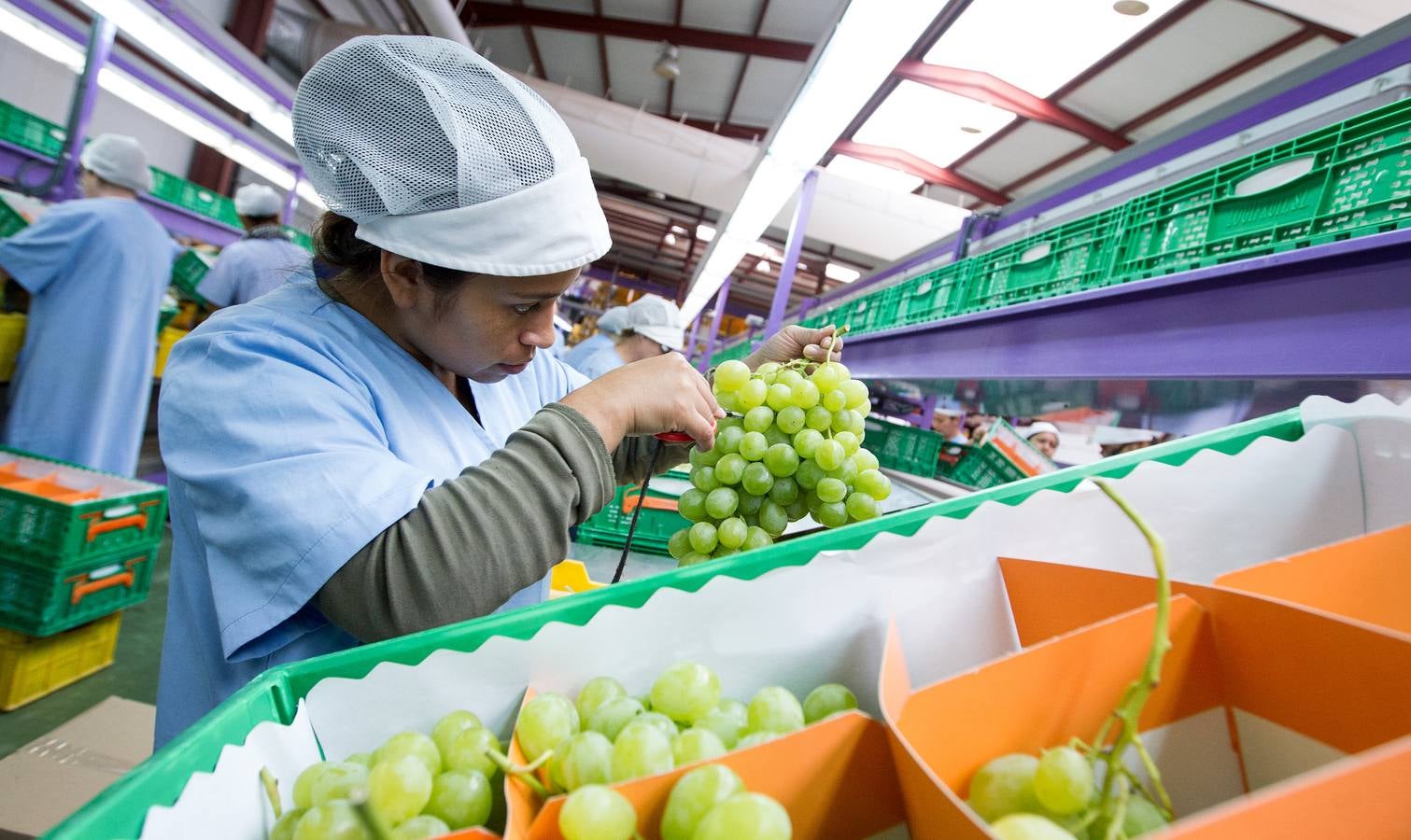 Mercadona afianza su relación con proveedores del sector primario en Alicante