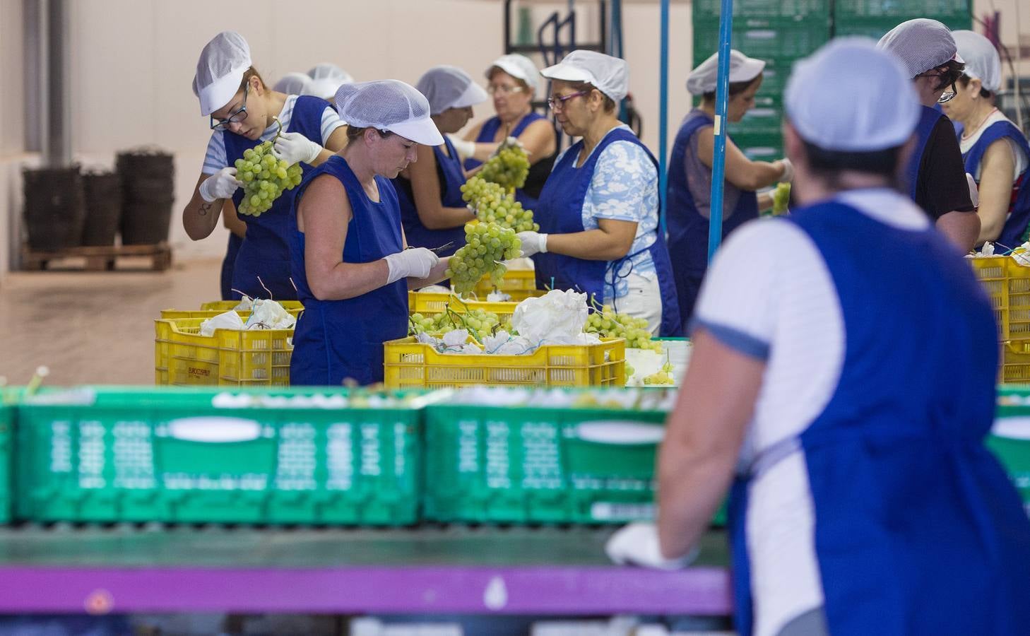 Mercadona afianza su relación con proveedores del sector primario en Alicante