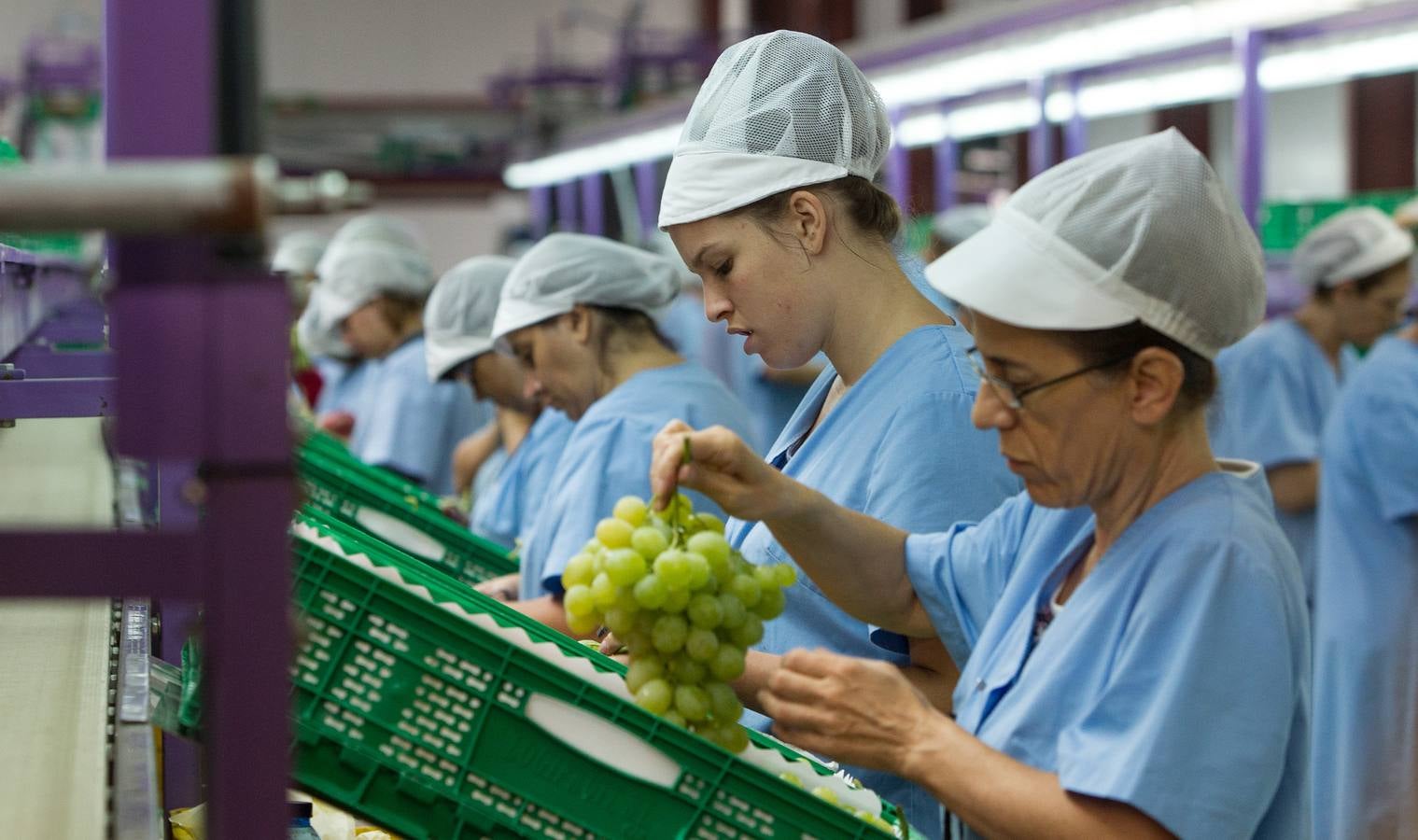 Mercadona afianza su relación con proveedores del sector primario en Alicante