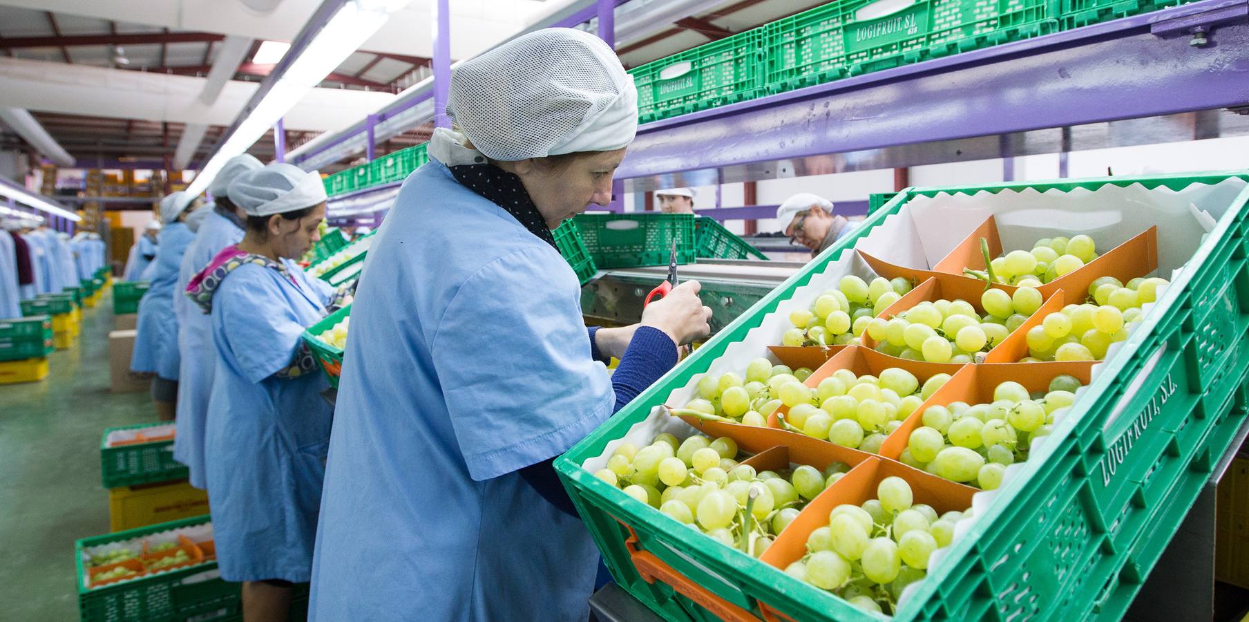 Mercadona afianza su relación con proveedores del sector primario en Alicante