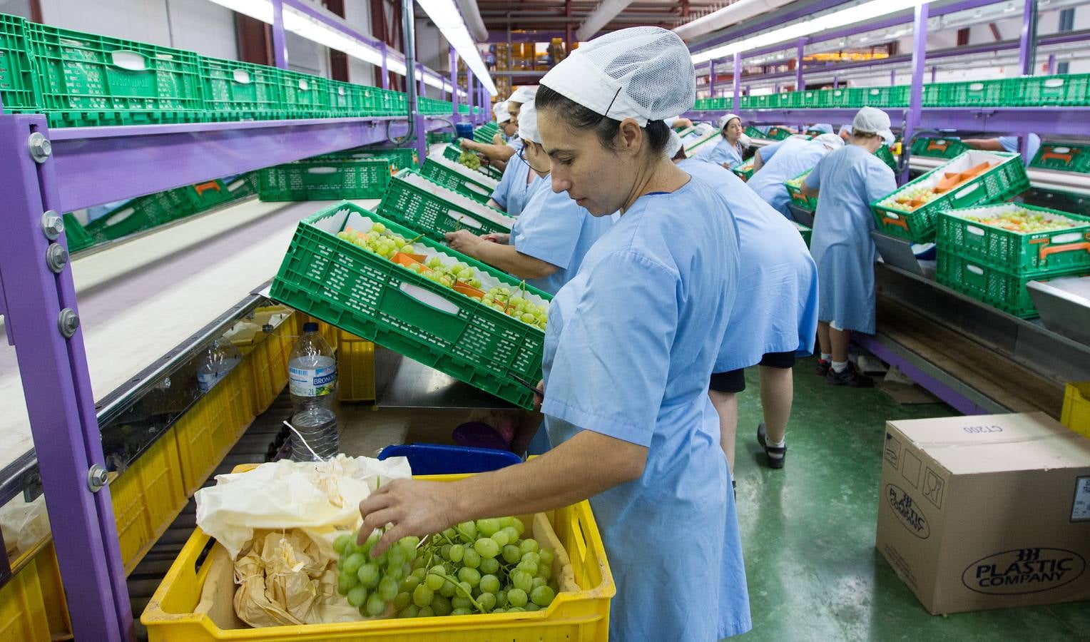 Mercadona afianza su relación con proveedores del sector primario en Alicante