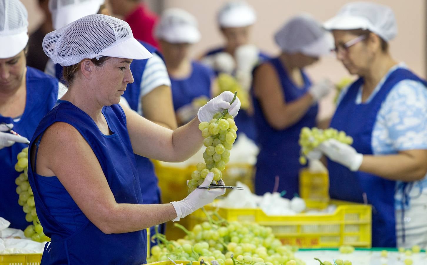 Mercadona afianza su relación con proveedores del sector primario en Alicante