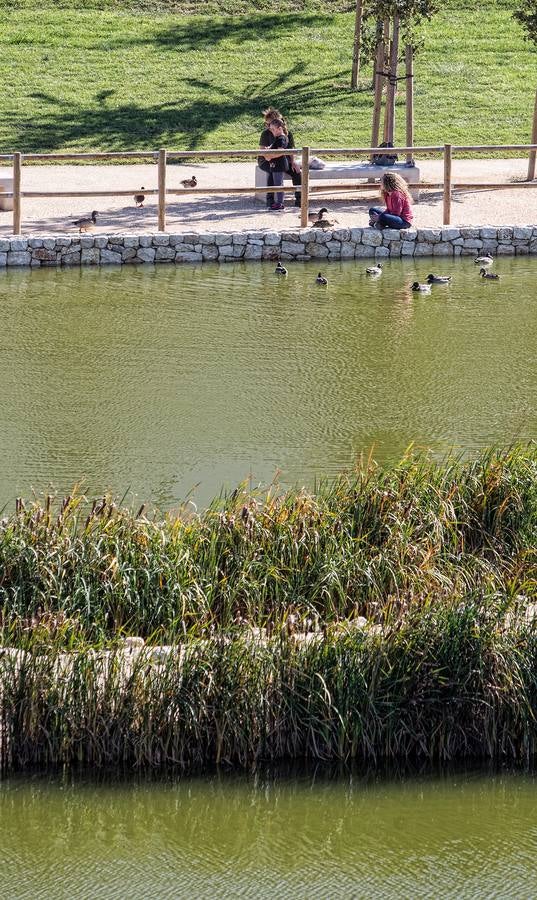 El parque de La Marjal evita nuevas inundaciones en la Playa de San Juan