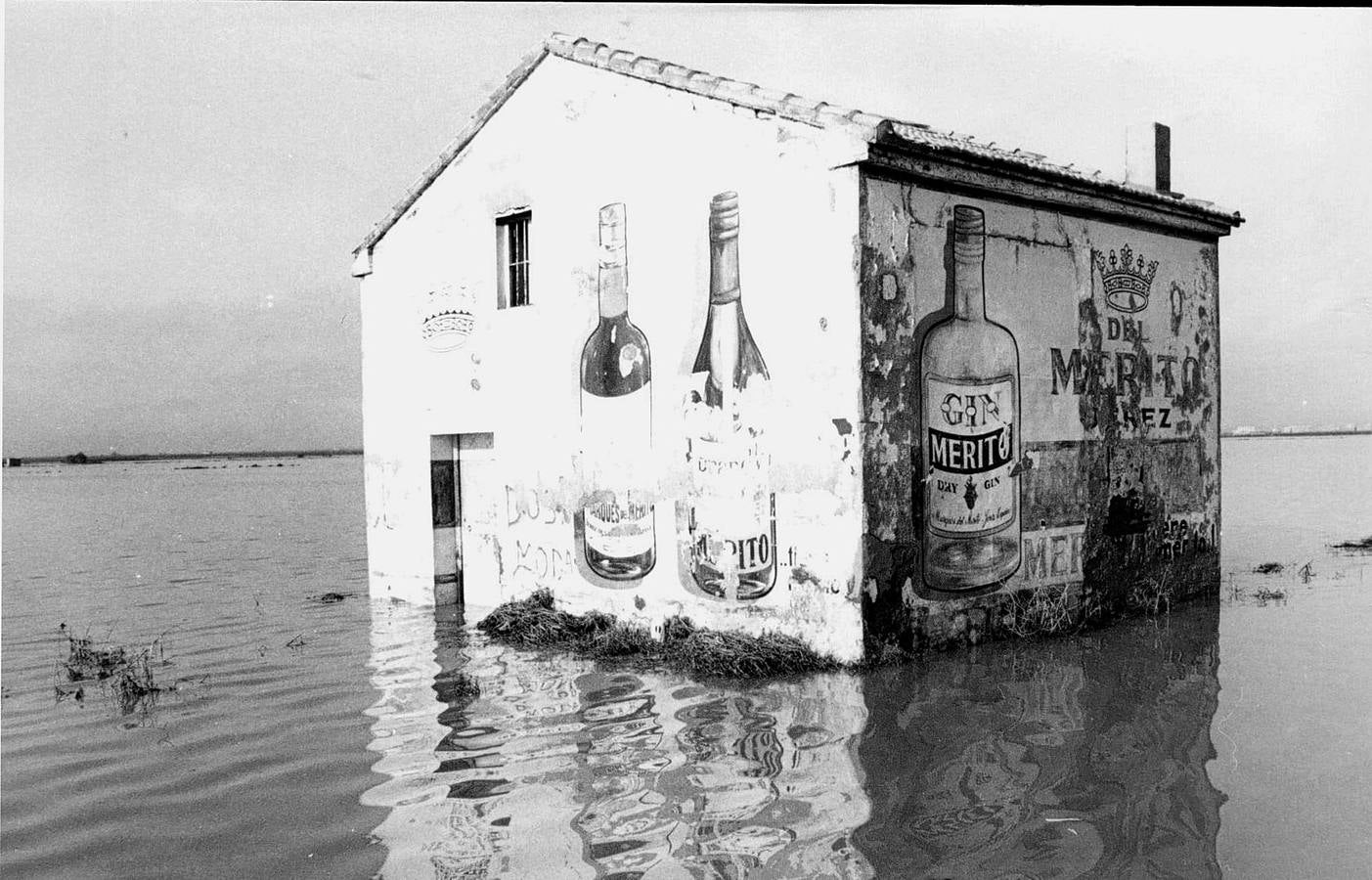 Pantanada de Tous