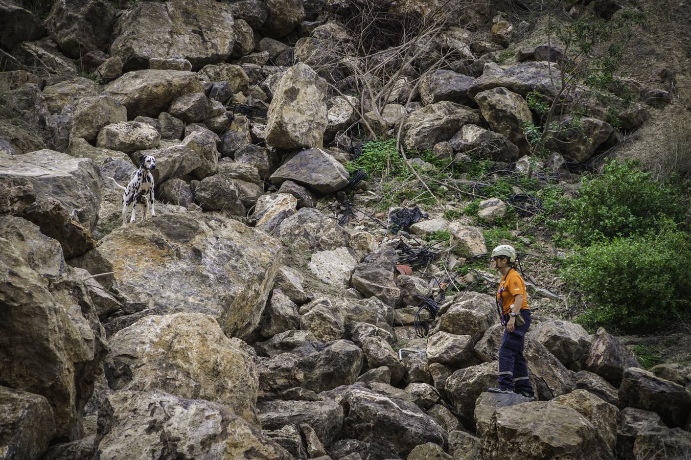 Simulacro en la cantera de Cox
