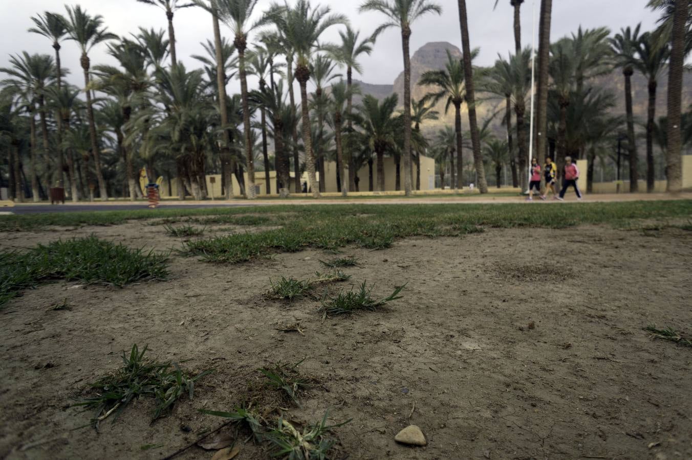 Desperfectos en las instalaciones deportivas de Orihuela