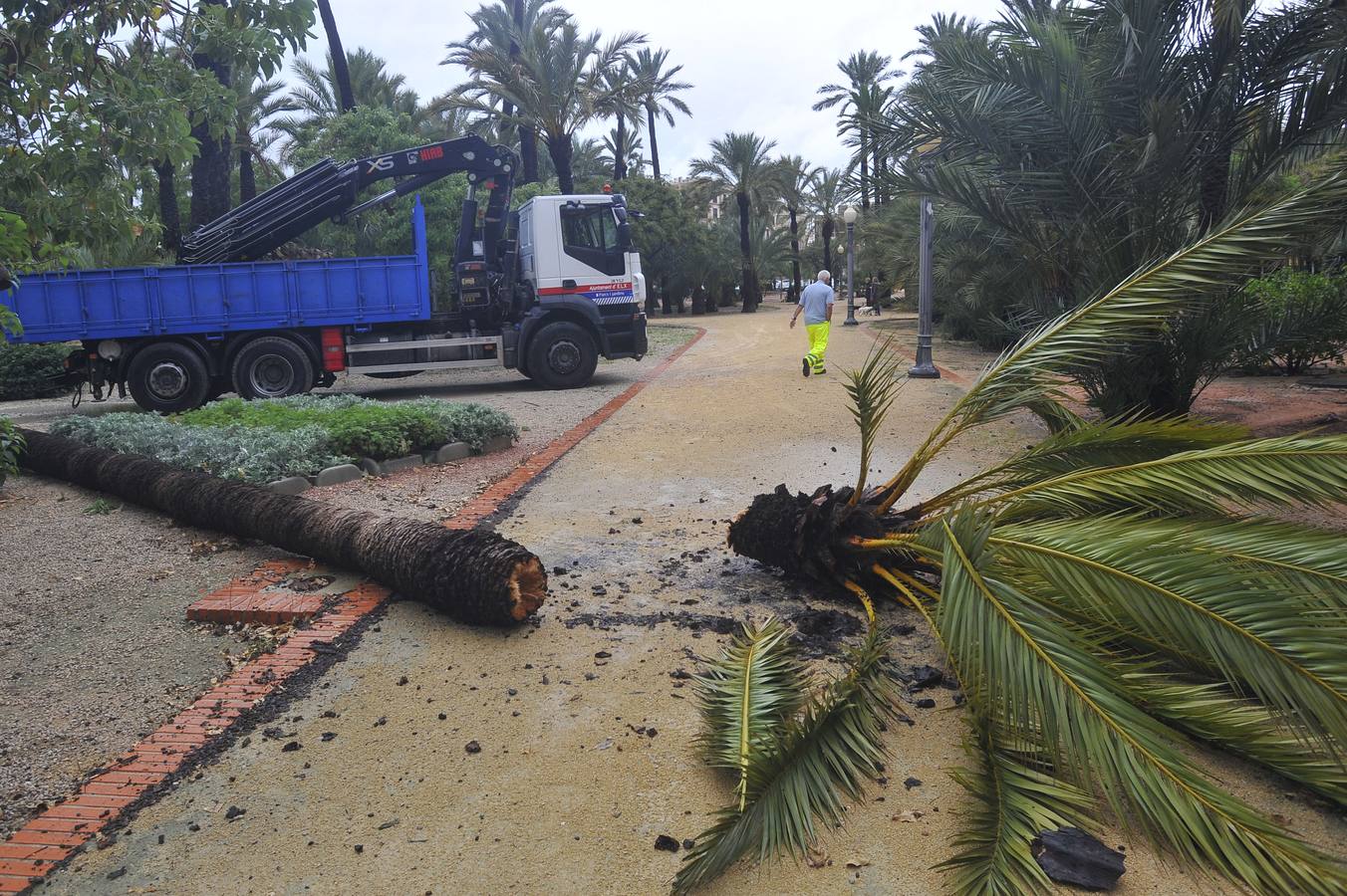 El temporal causa destrozos, suspende clases y deja más de 100 litros en 12 horas