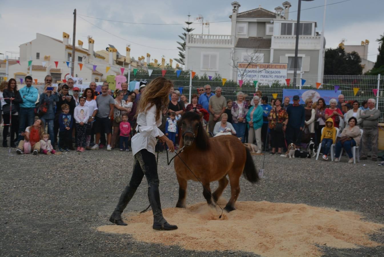 Cariño a los animales