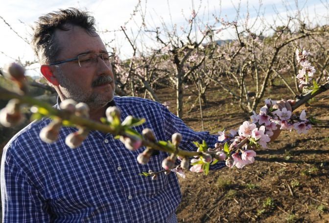 El cálido invierno asfixia al campo