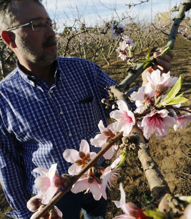 El cálido invierno asfixia al campo