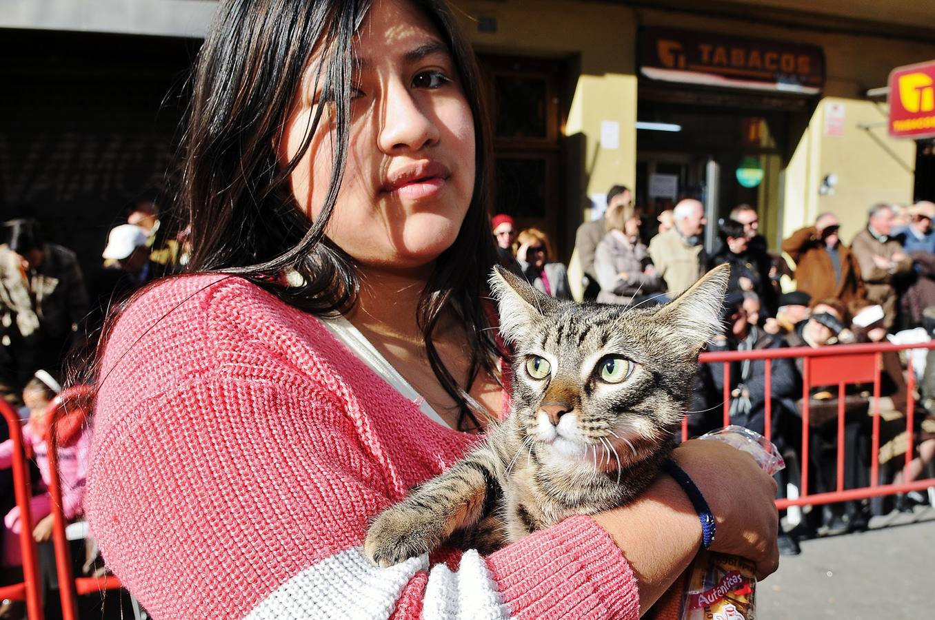 Bendición de animales en San Antonio (II)