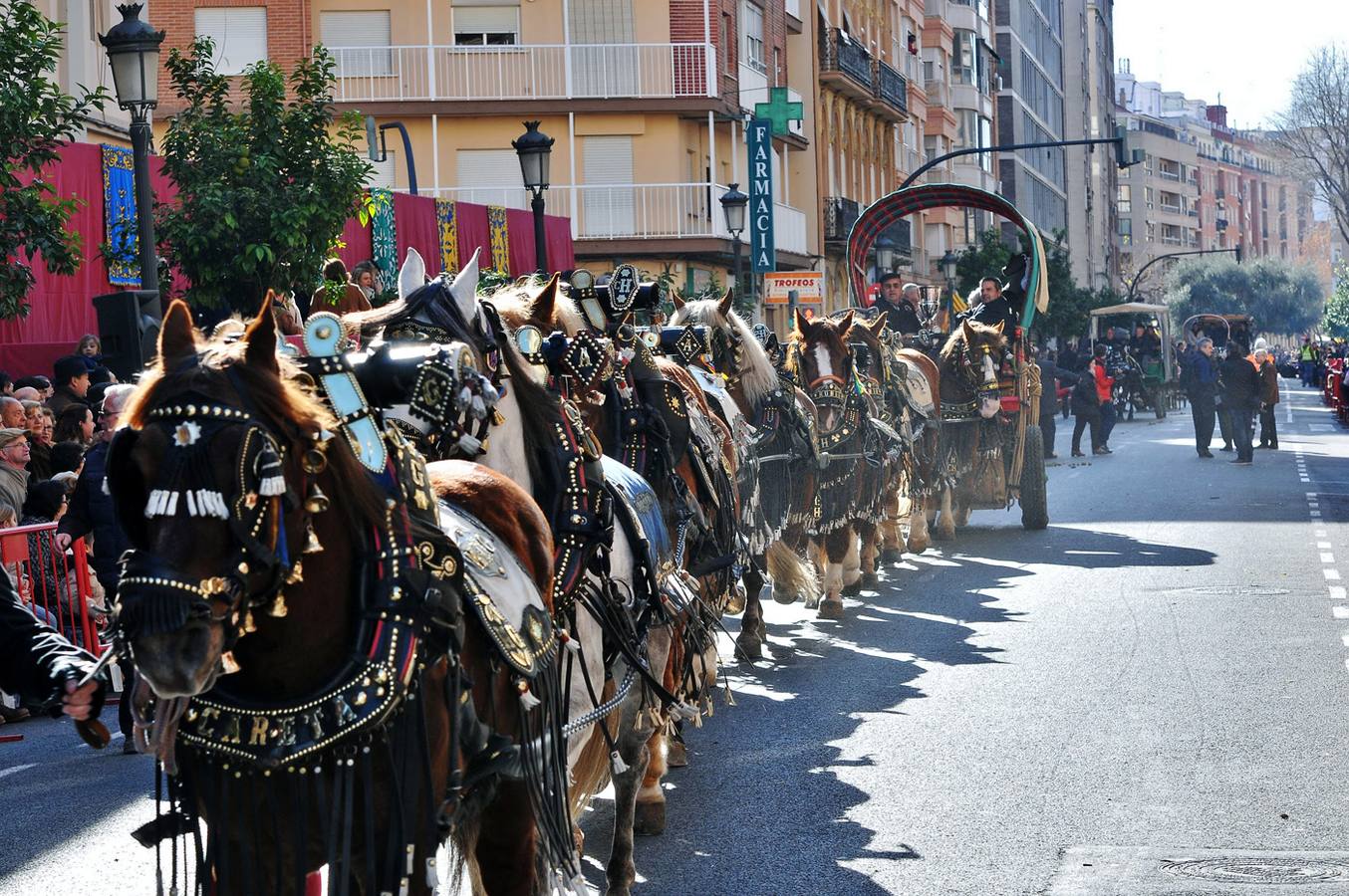 Bendición de animles en San Antonio