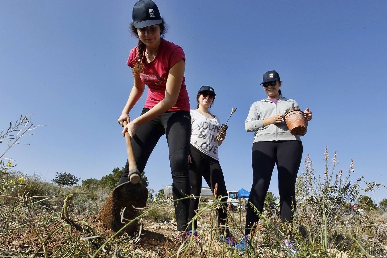 Reforestación en el Benacantil y en Orgeggia