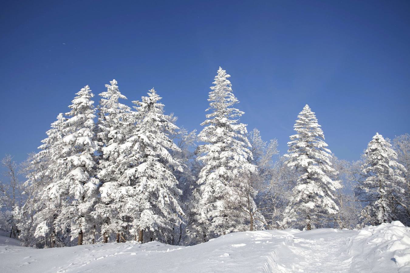 Los colores del invierno