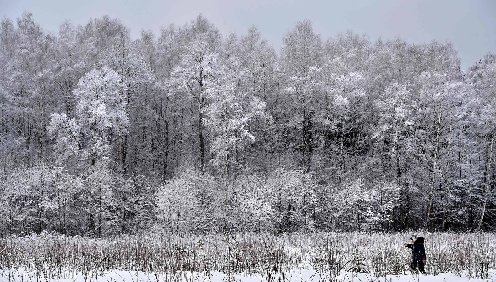 Los colores del invierno