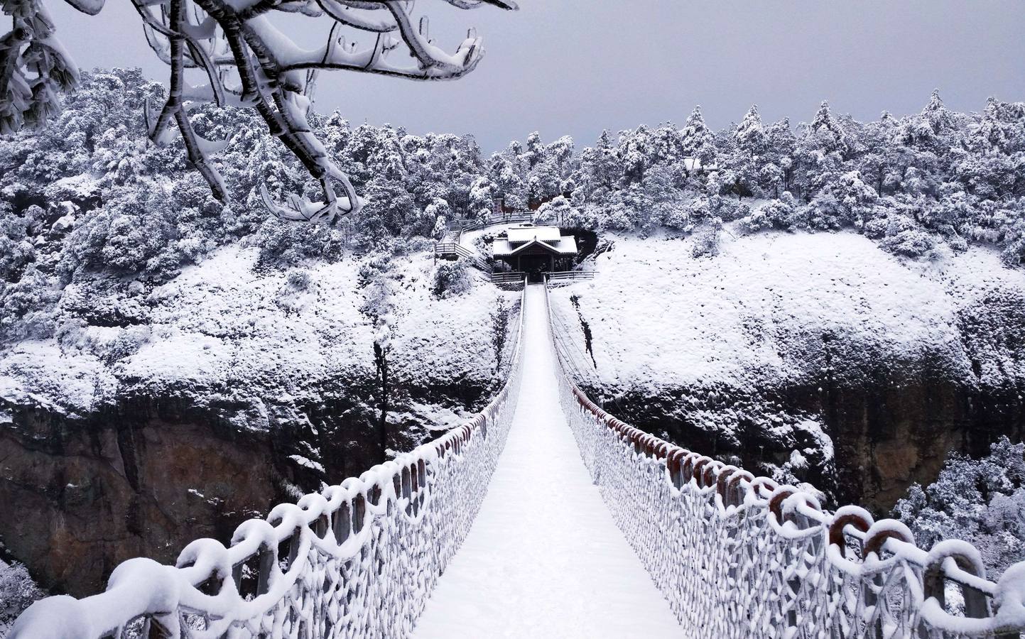 Los colores del invierno