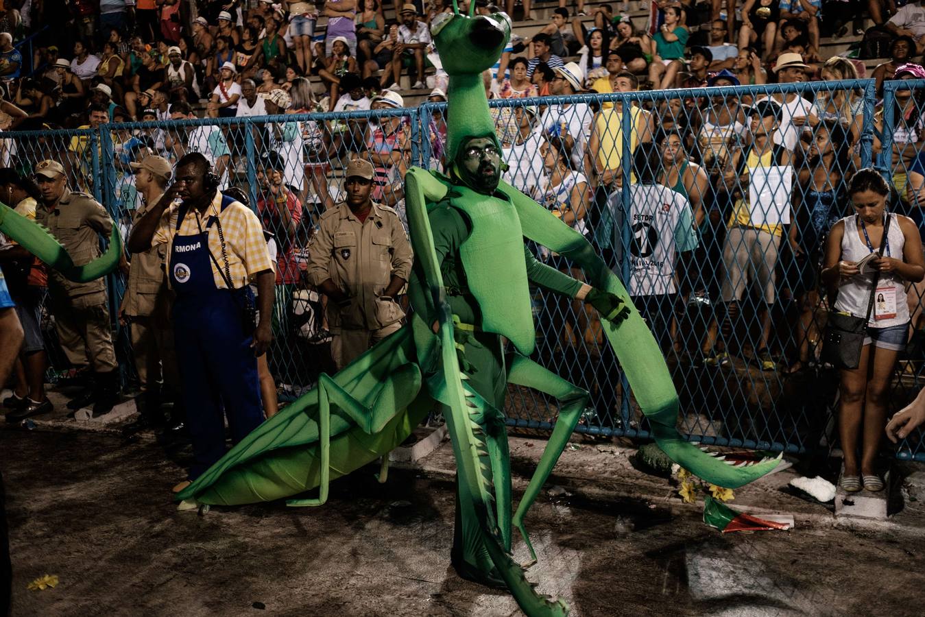 El Carnaval de Río al son del mosquito