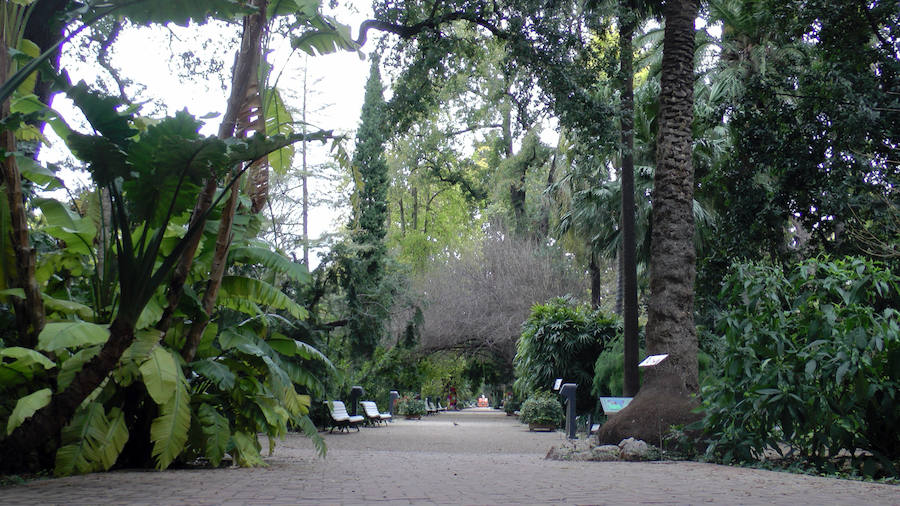 Jardín Botánico. 