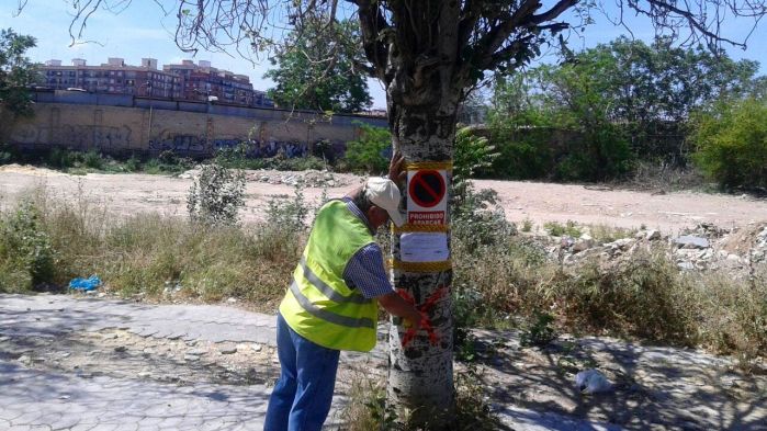 Las obras del Parque Central durante los últimos meses