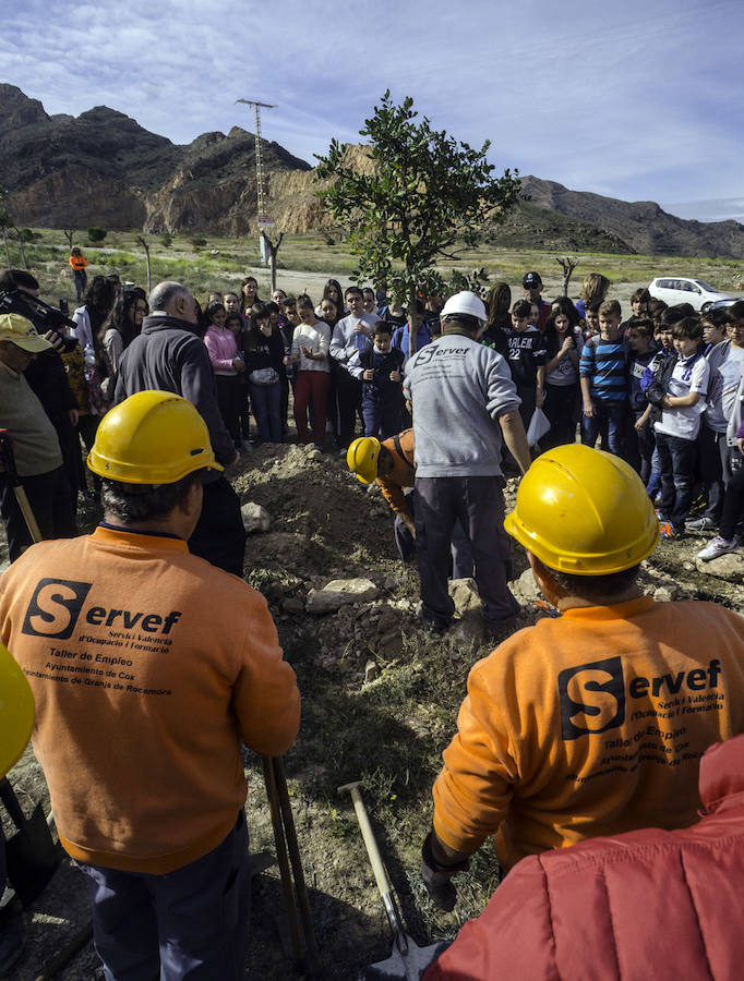 Plantación de árboles en la cantera de Orihuela
