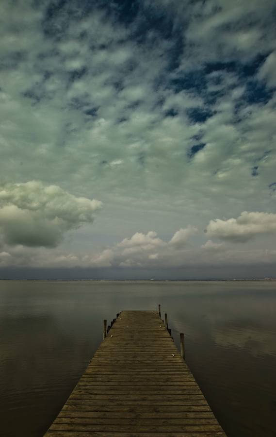 Parque Natural de La Albufera