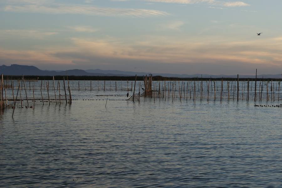 Parque Natural de La Albufera