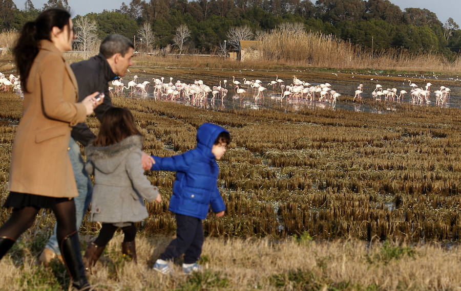 Parque Natural de La Albufera