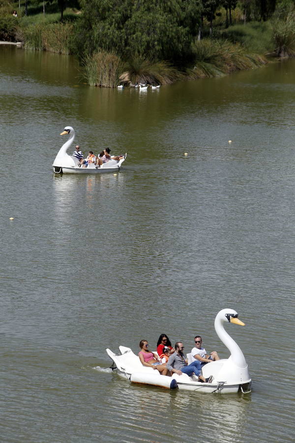 Parque de Cabecera. 