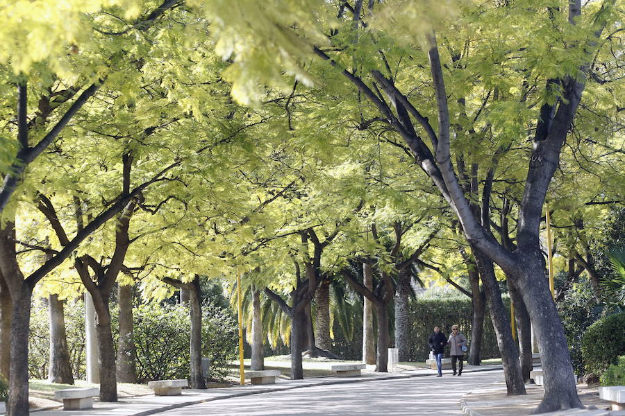 Parque de Benicalap. 