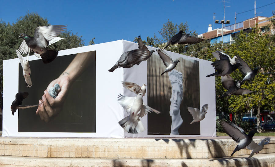 Arte en las calles de Alicante