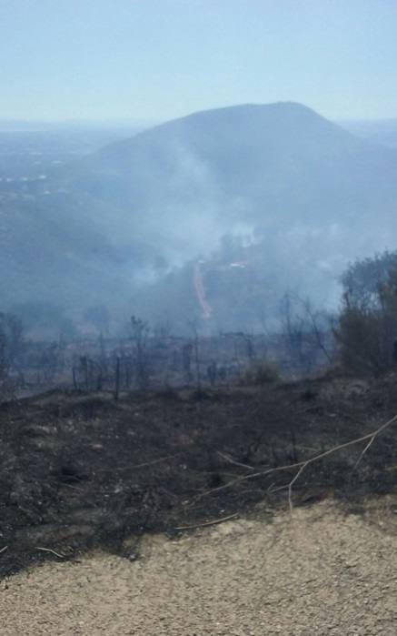 Incendio forestal en Segart