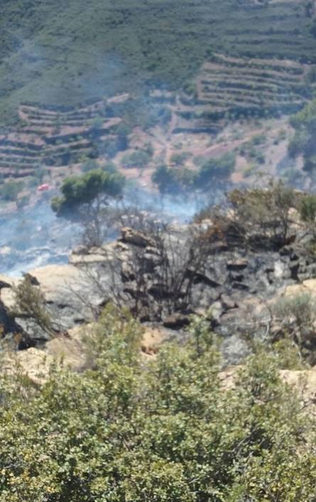 Incendio forestal en Segart